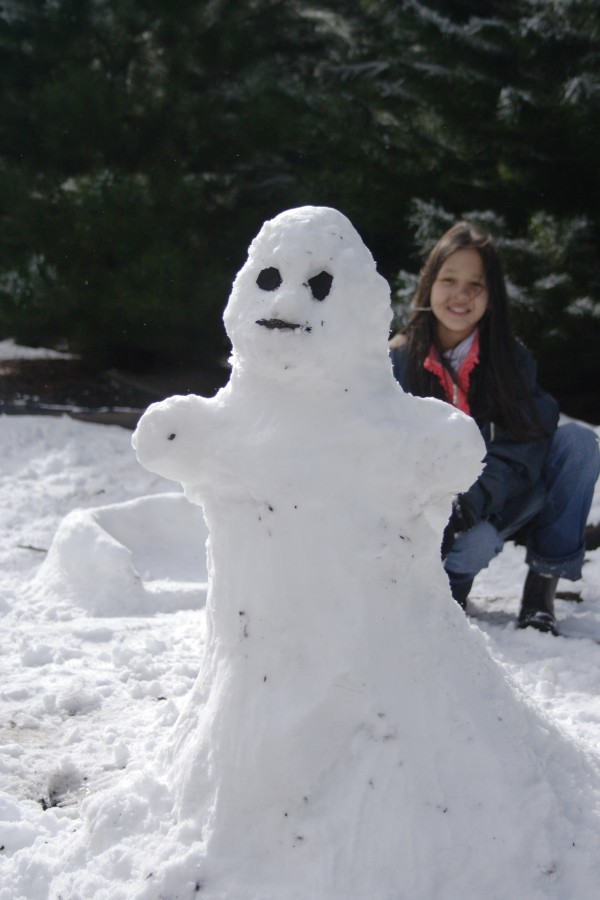 snow snow_pictures : S of Shooters Hill, NSW   10 August 2008