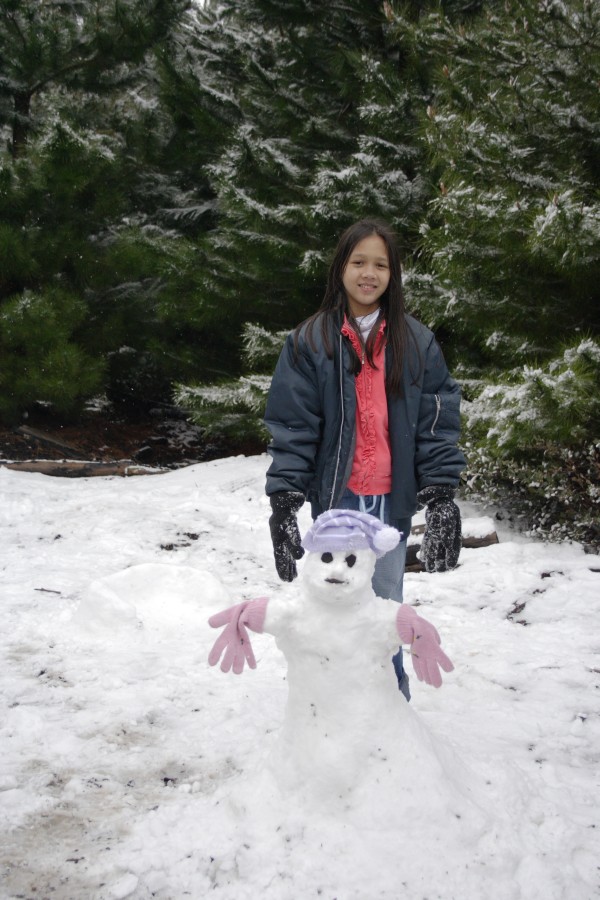 snow snow_pictures : S of Shooters Hill, NSW   10 August 2008