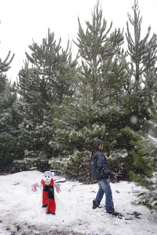 snow snow_pictures : S of Shooters Hill, NSW   10 August 2008