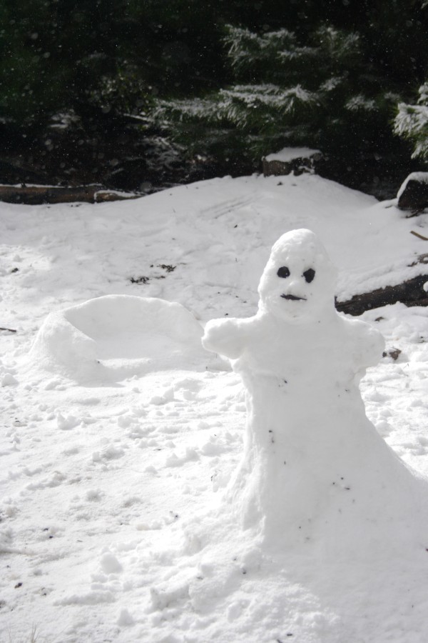 snow snow_pictures : S of Shooters Hill, NSW   10 August 2008