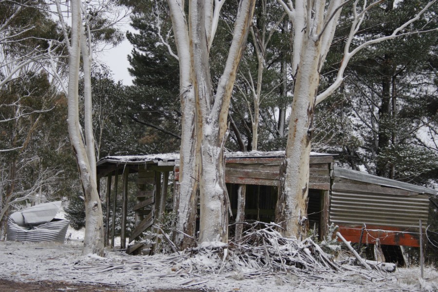 snow snow_pictures : near Mt Trickett, NSW   10 August 2008