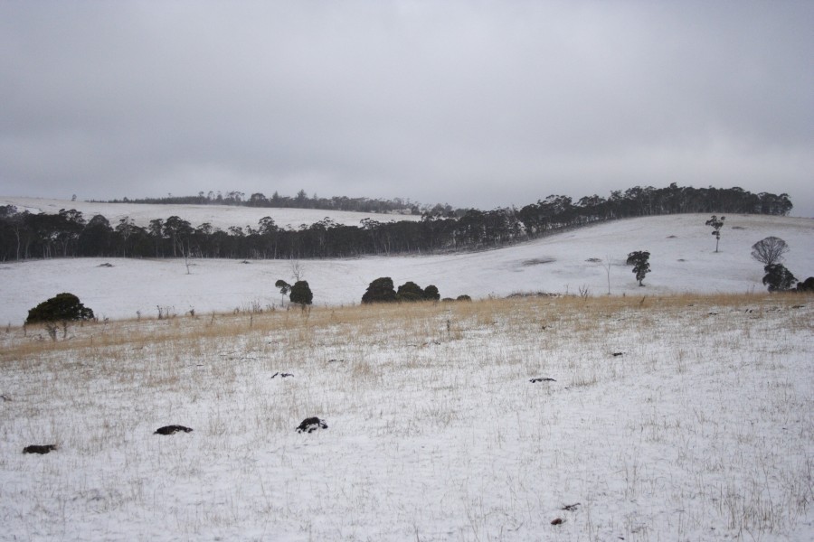 snow snow_pictures : N of Mt Trickett, NSW   10 August 2008