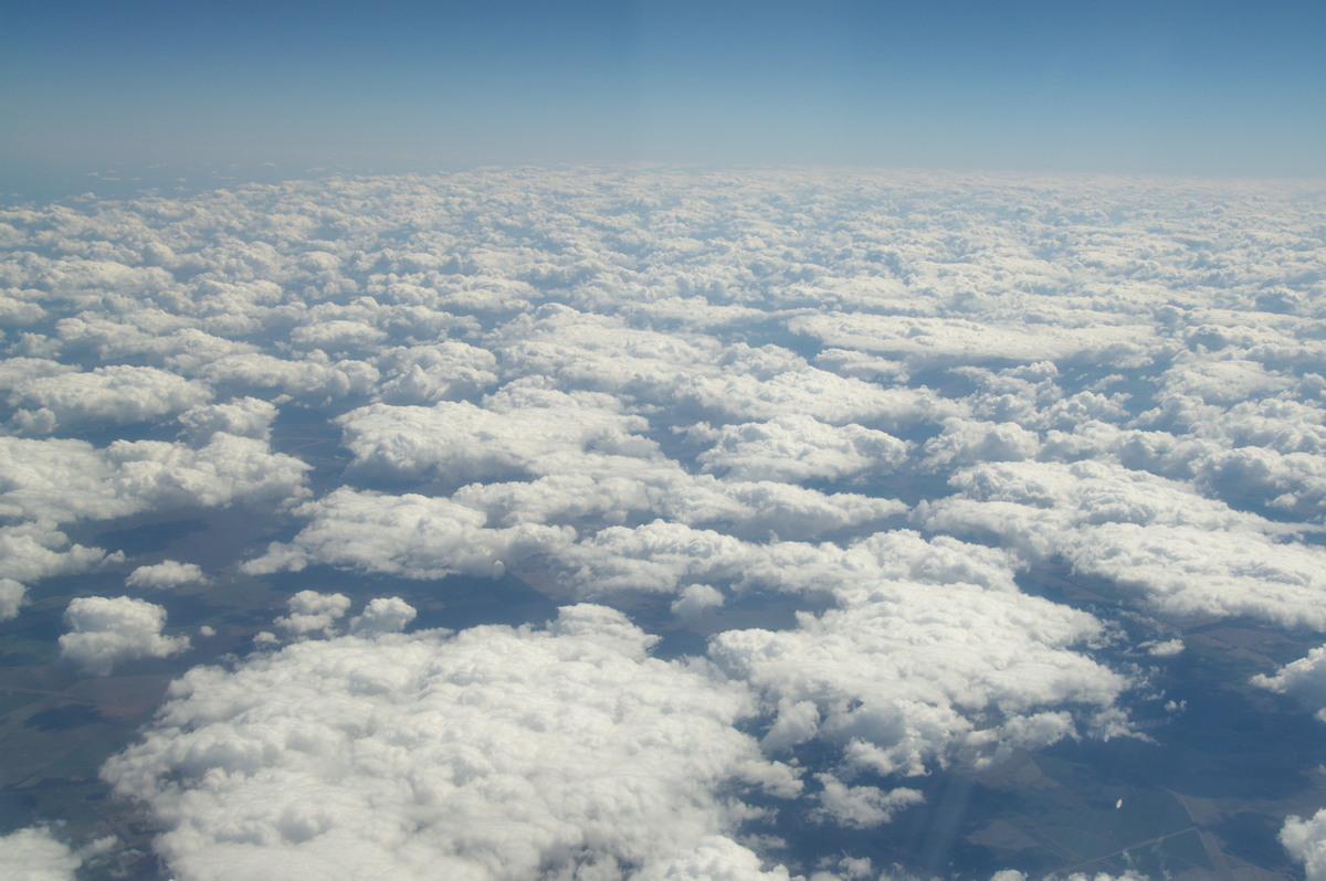 cumulus humilis : Northern NSW   21 August 2008