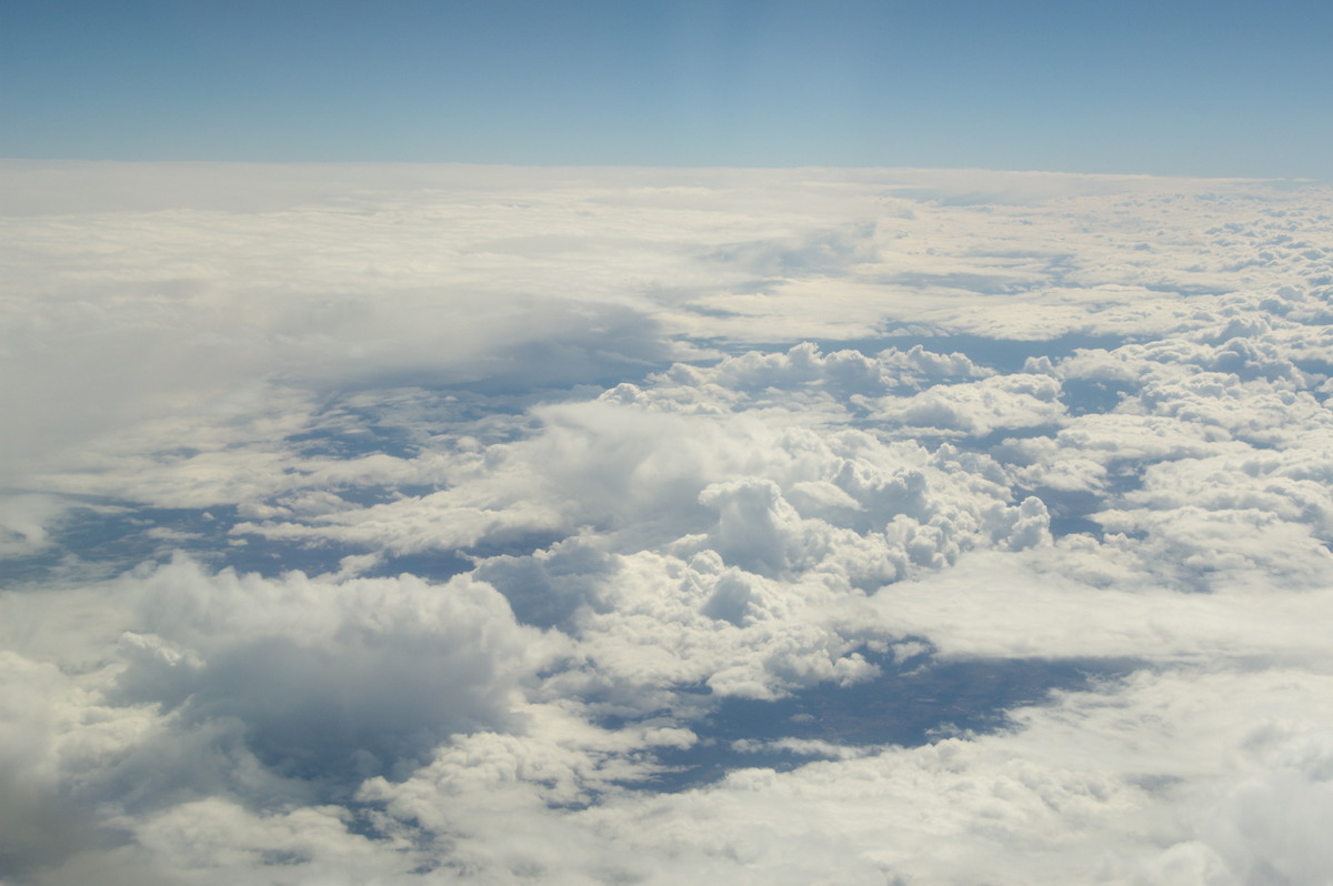 cumulus congestus : South Australia   21 August 2008