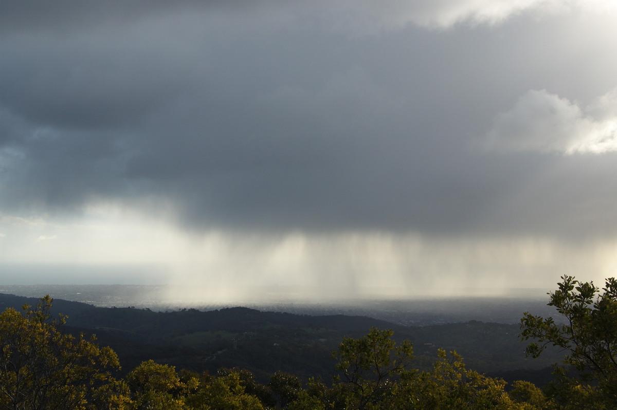 raincascade precipitation_cascade : Mt Lofty, SA   21 August 2008