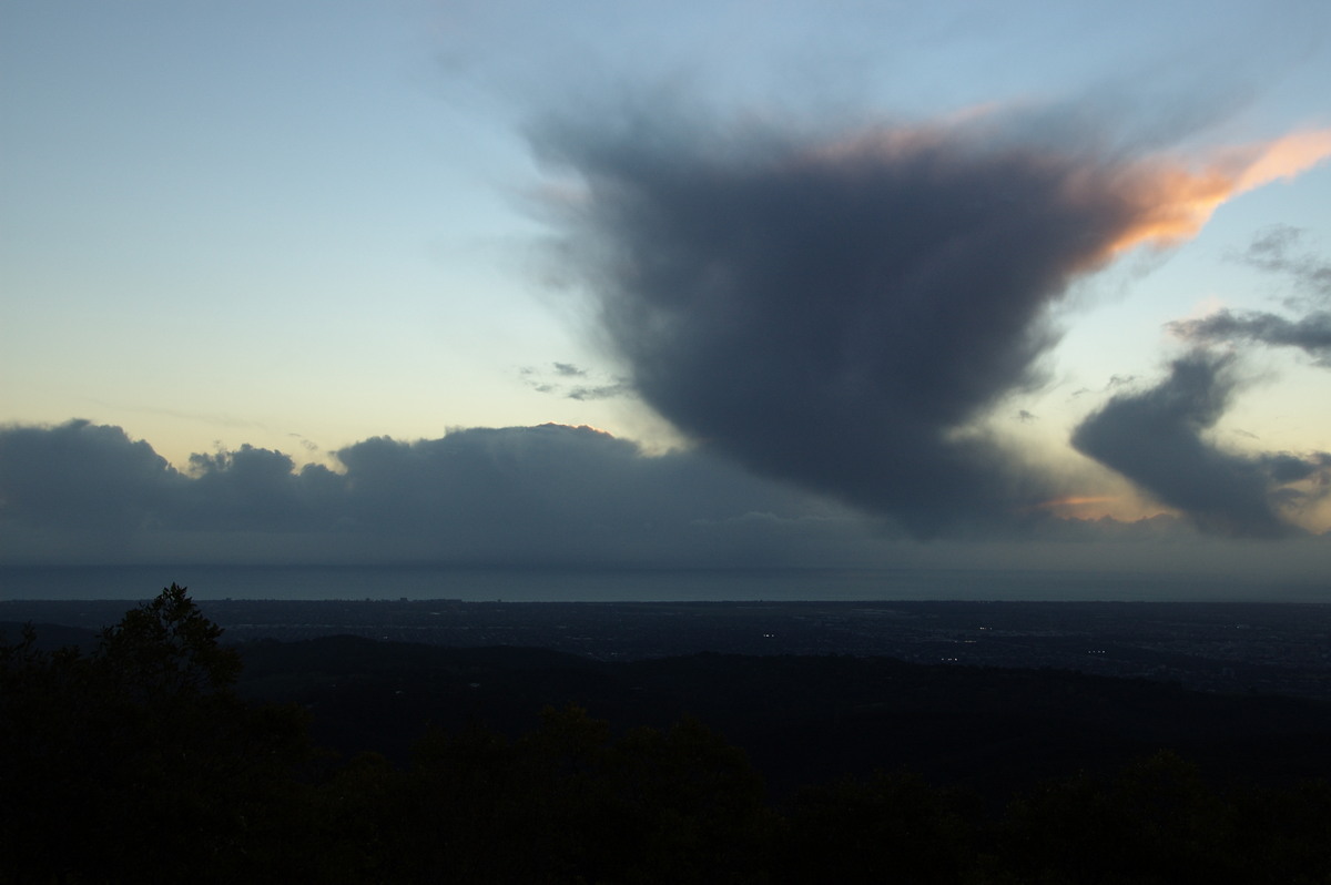 cumulus mediocris : Mt Lofty, SA   21 August 2008