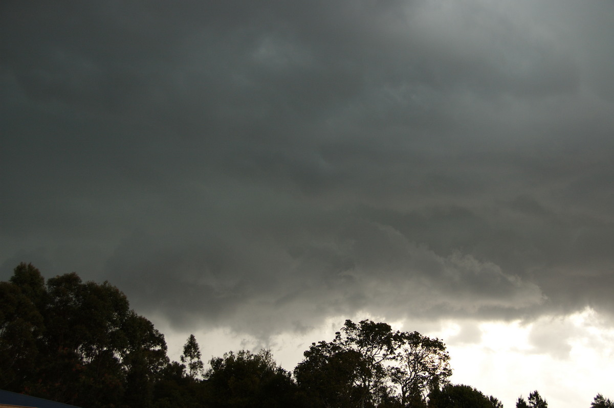 cumulonimbus thunderstorm_base : McLeans Ridges, NSW   27 August 2008