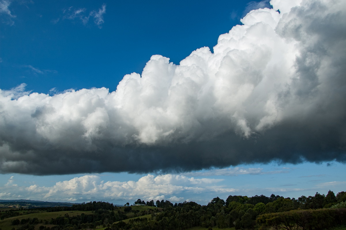 cumulus congestus : McLeans Ridges, NSW   5 September 2008