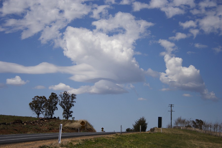 cumulus mediocris : Orange, NSW   13 September 2008