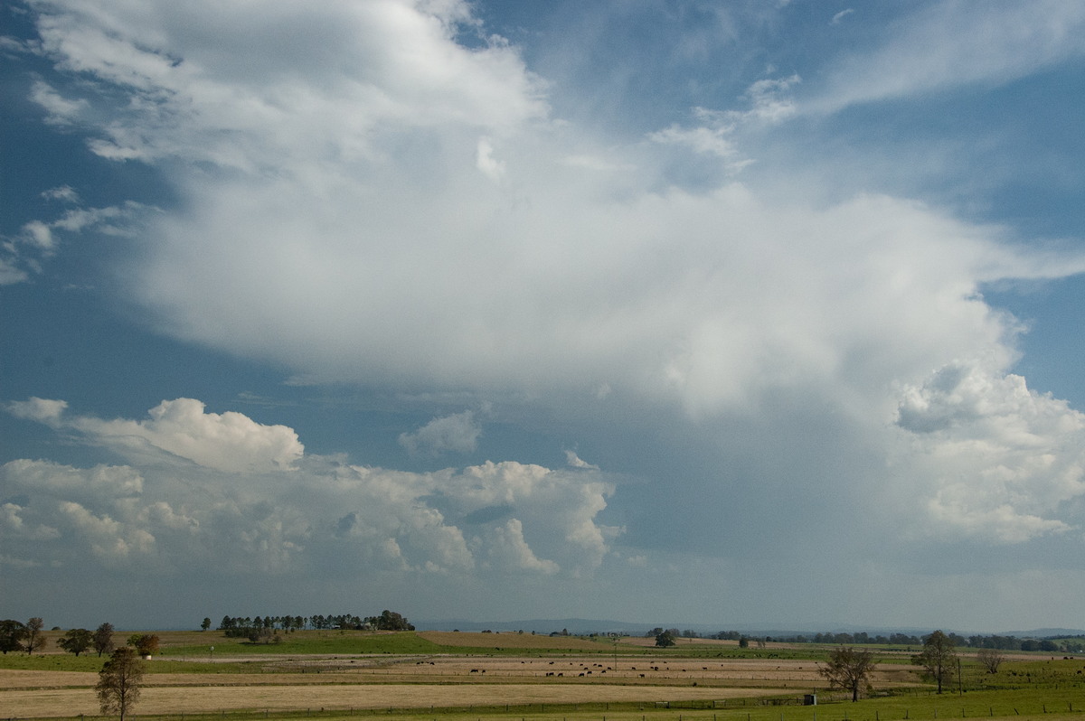 thunderstorm cumulonimbus_incus : near Kyogle, NSW   20 September 2008