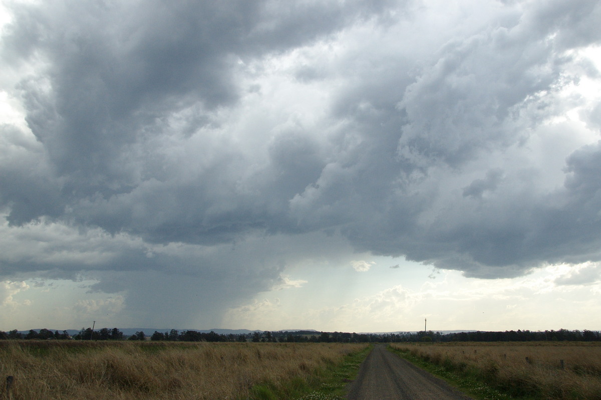 cumulonimbus thunderstorm_base : near Kyogle, NSW   20 September 2008