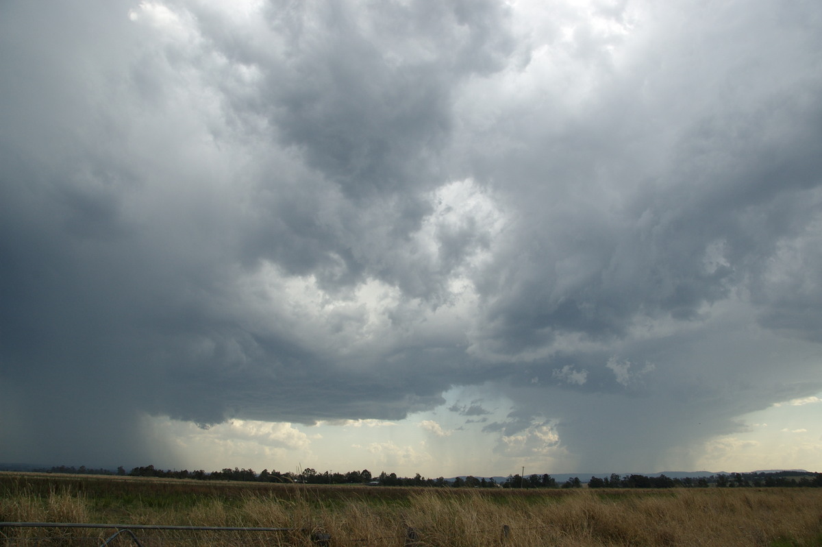 cumulonimbus thunderstorm_base : near Kyogle, NSW   20 September 2008