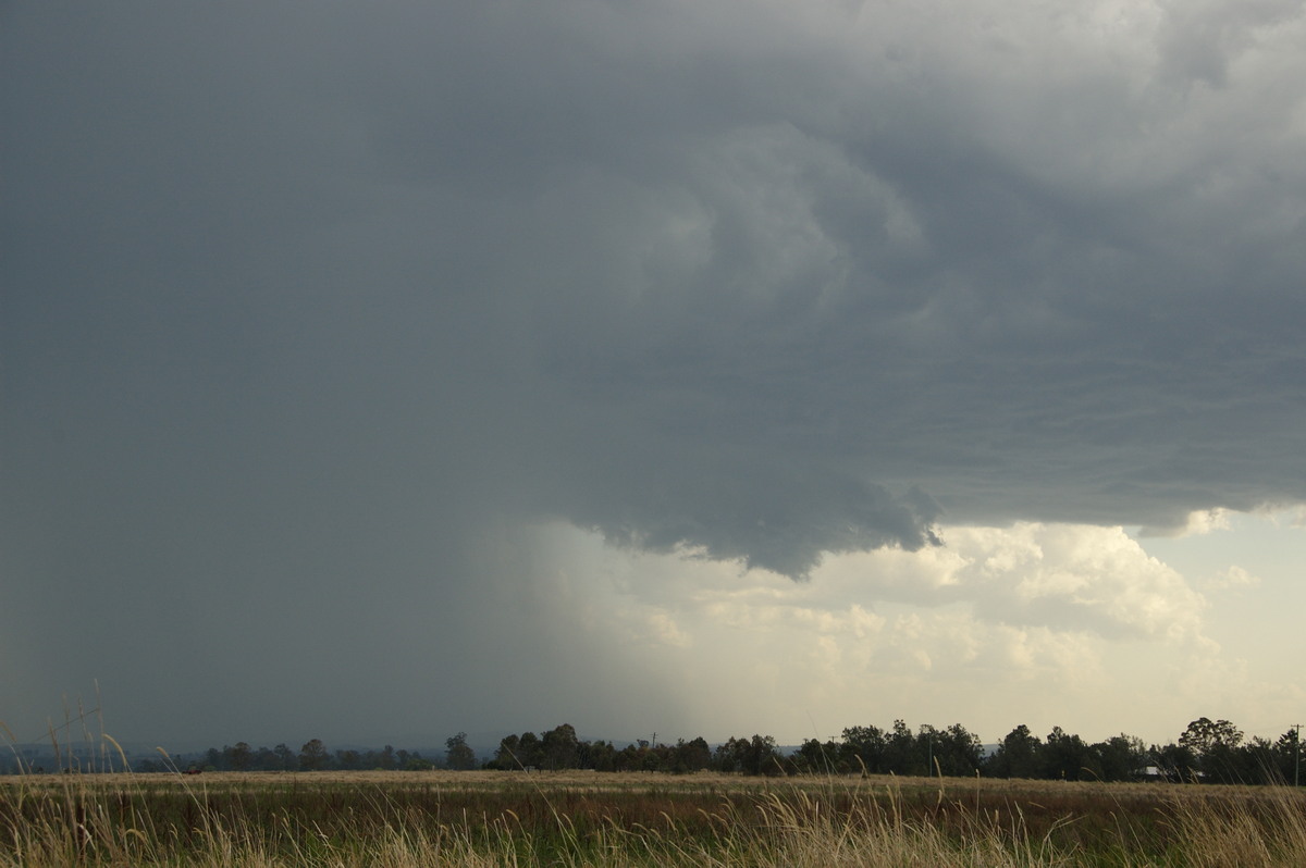 cumulonimbus thunderstorm_base : near Kyogle, NSW   20 September 2008