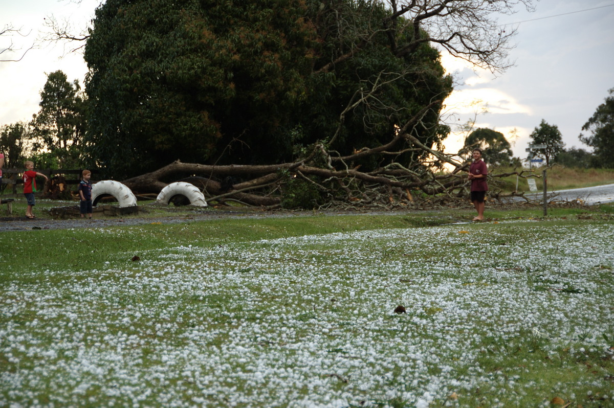 disasters storm_damage : Geneva, NSW   20 September 2008