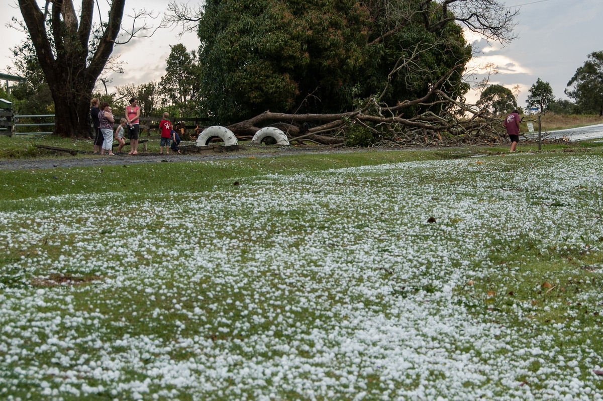 disasters storm_damage : Geneva, NSW   20 September 2008