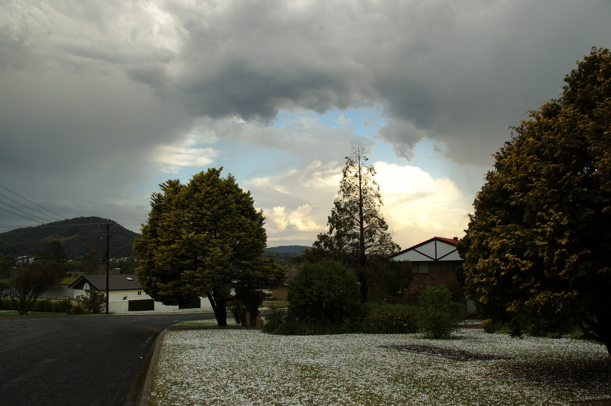hailstones hail_stones : Geneva, NSW   20 September 2008