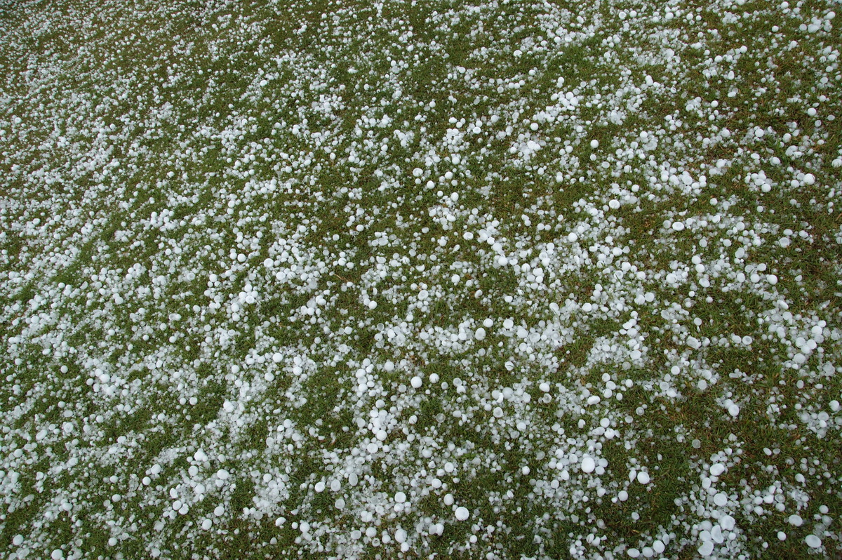 hailstones hail_stones : Geneva, NSW   20 September 2008