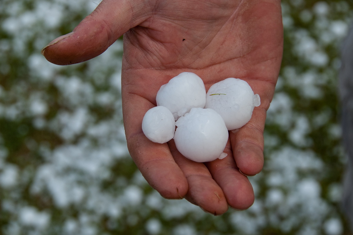 hailstones hail_stones : Geneva, NSW   20 September 2008