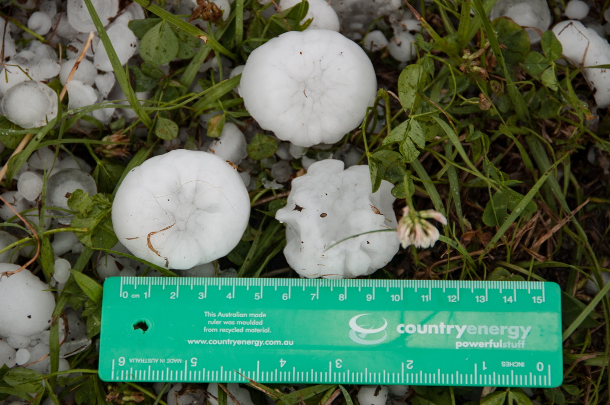 hailstones hail_stones : Geneva, NSW   20 September 2008