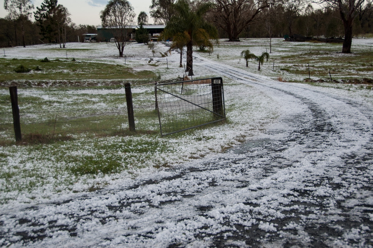 hailstones hail_stones : Geneva, NSW   20 September 2008