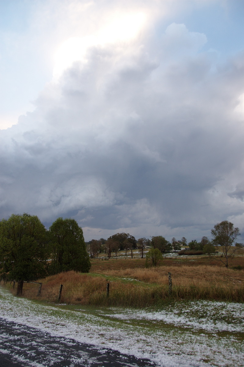 hailstones hail_stones : Geneva, NSW   20 September 2008