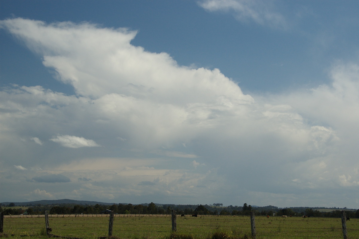 anvil thunderstorm_anvils : N of Casino, NSW   21 September 2008