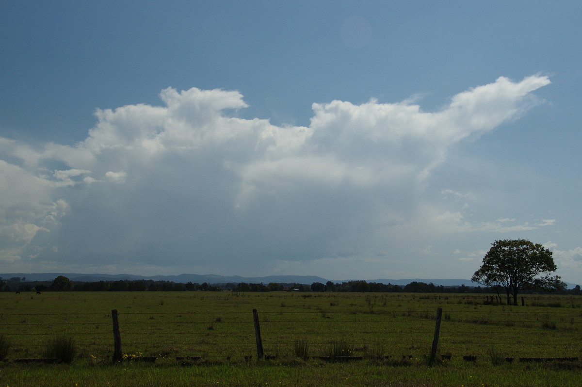 thunderstorm cumulonimbus_incus : N of Casino, NSW   21 September 2008