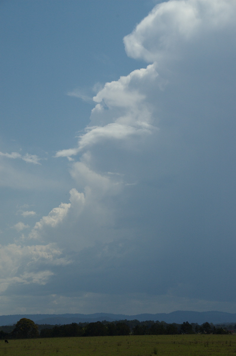 updraft thunderstorm_updrafts : N of Casino, NSW   21 September 2008