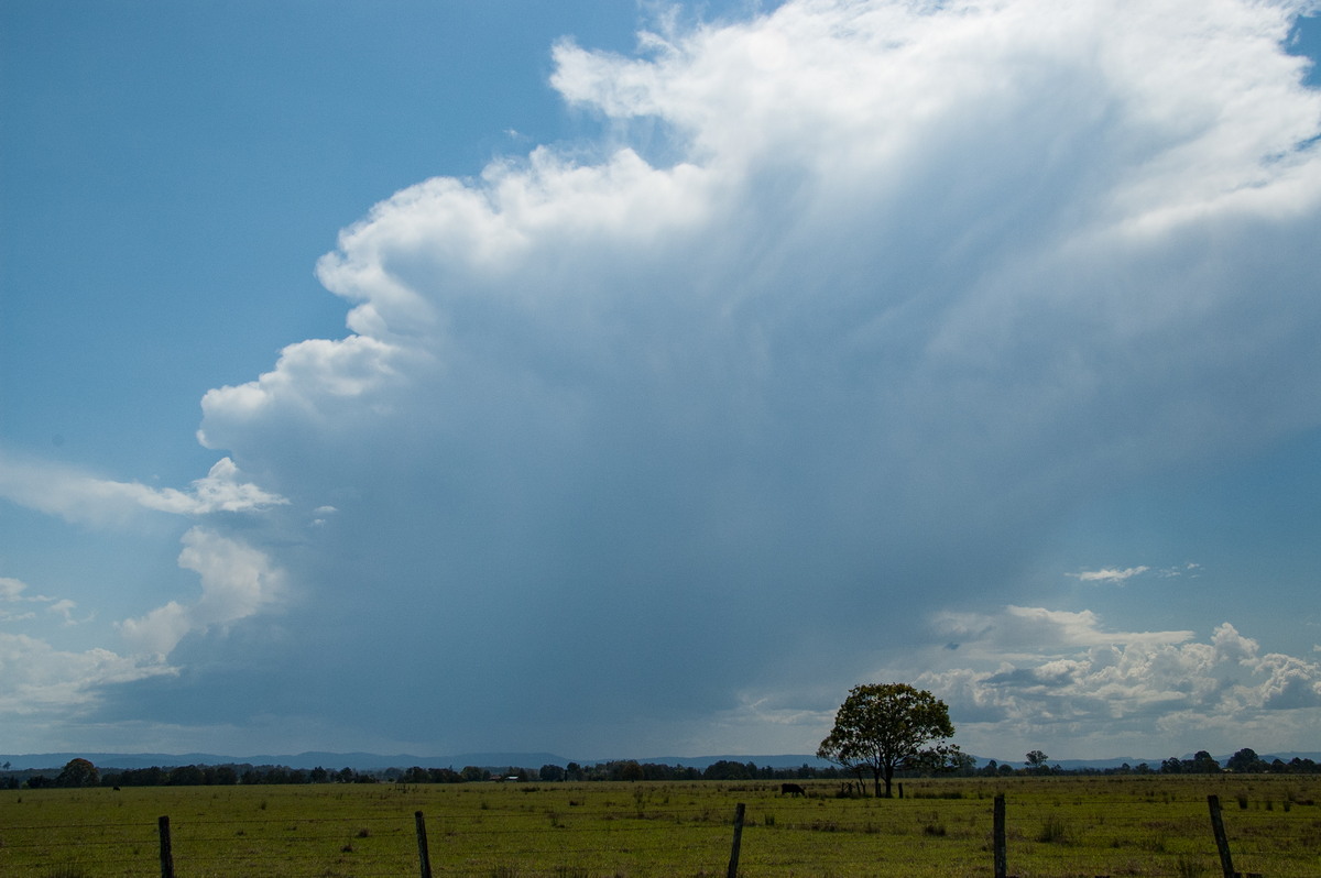 thunderstorm cumulonimbus_incus : N of Casino, NSW   21 September 2008