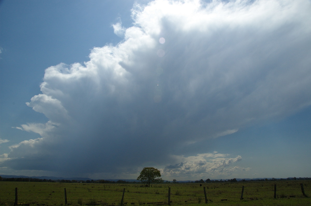 anvil thunderstorm_anvils : N of Casino, NSW   21 September 2008