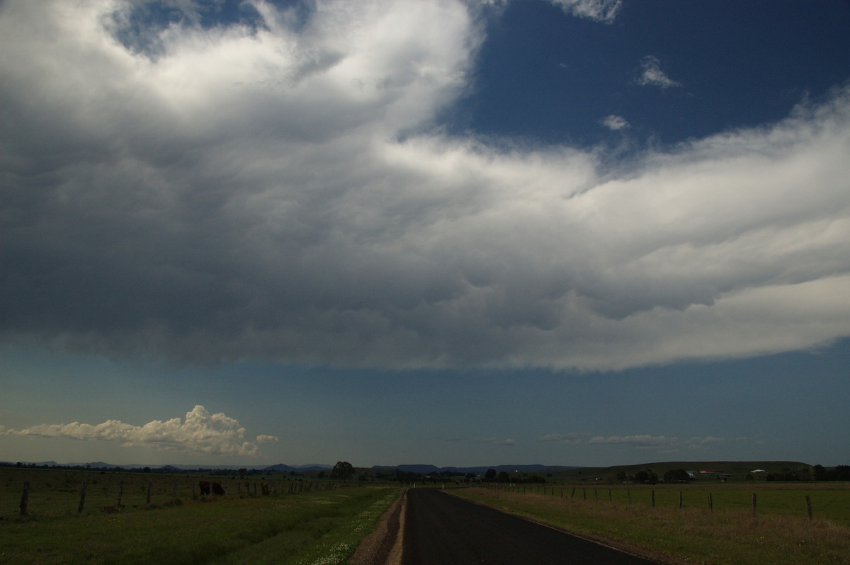 mammatus mammatus_cloud : N of Casino, NSW   21 September 2008