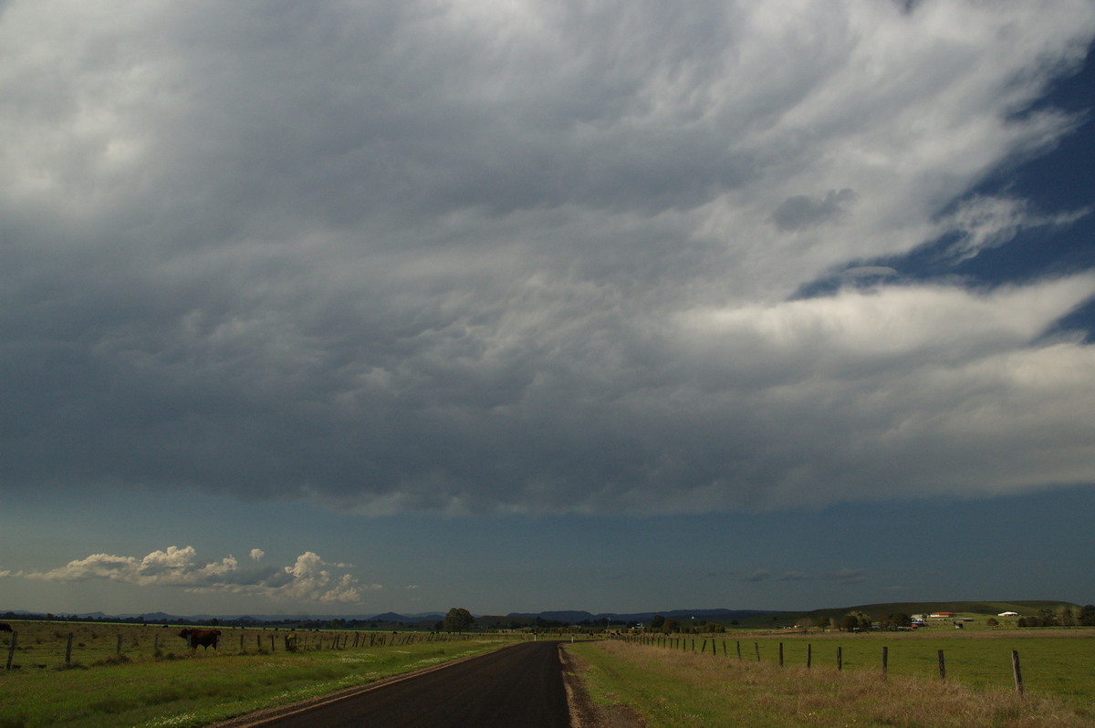 mammatus mammatus_cloud : N of Casino, NSW   21 September 2008