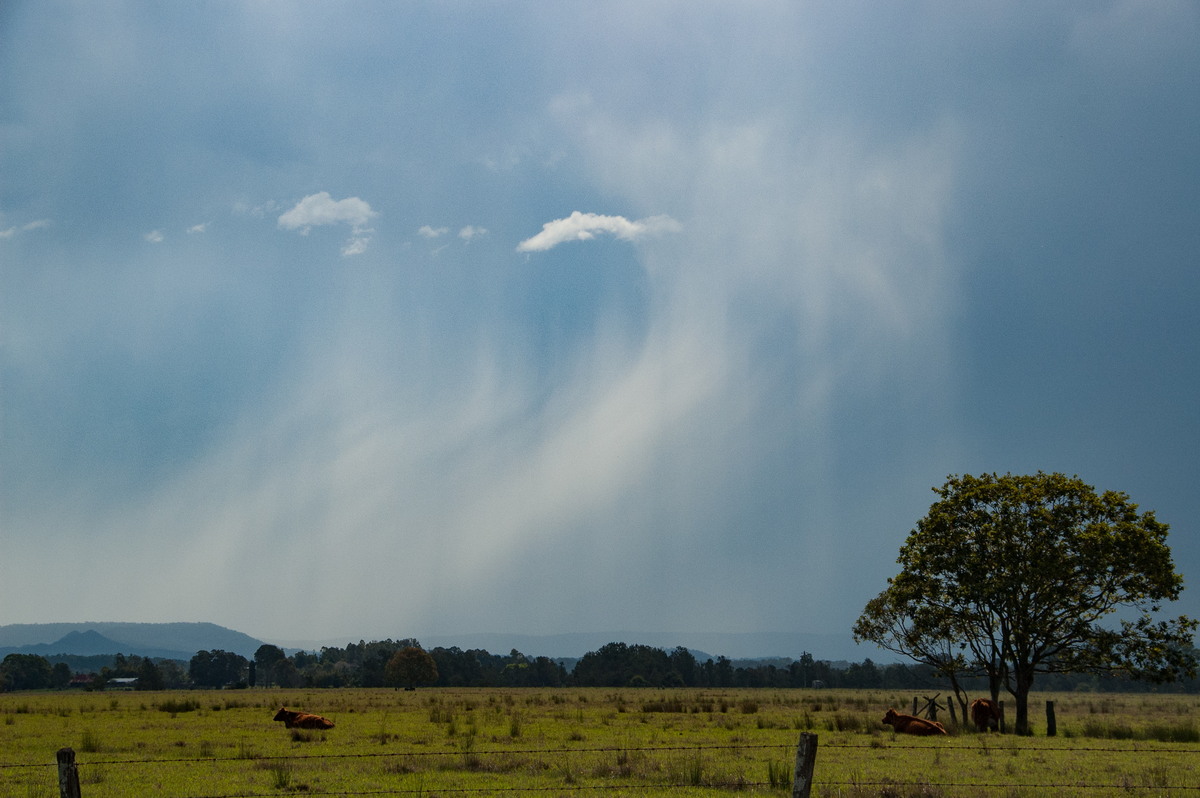 raincascade precipitation_cascade : N of Casino, NSW   21 September 2008