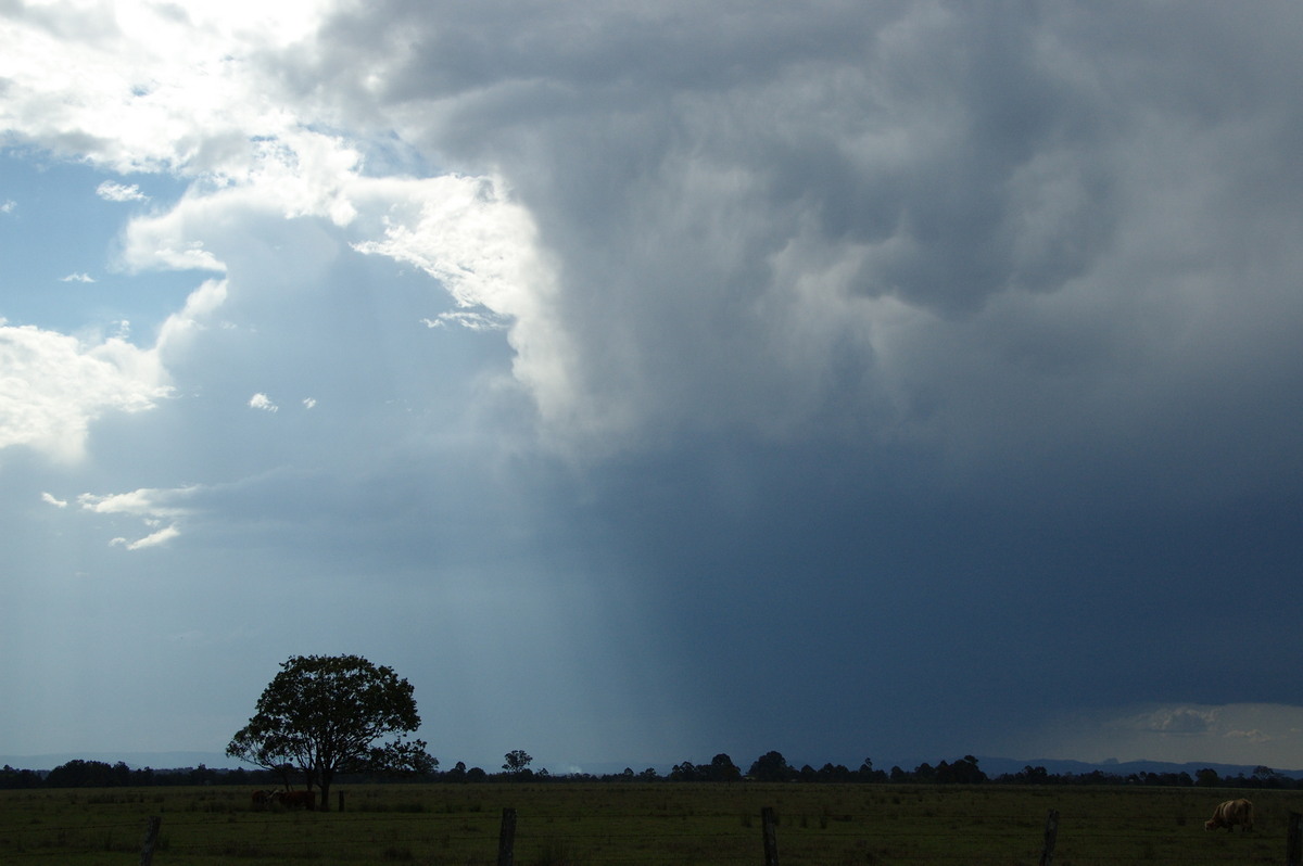 thunderstorm cumulonimbus_incus : N of Casino, NSW   21 September 2008