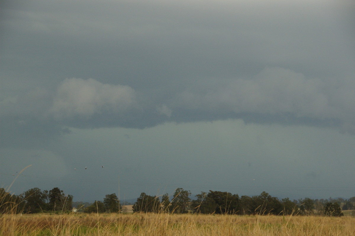 shelfcloud shelf_cloud : N of Casino, NSW   21 September 2008