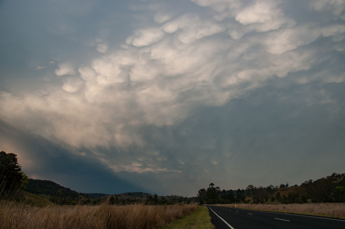 mammatus mammatus_cloud : W of Lismore, NSW   21 September 2008