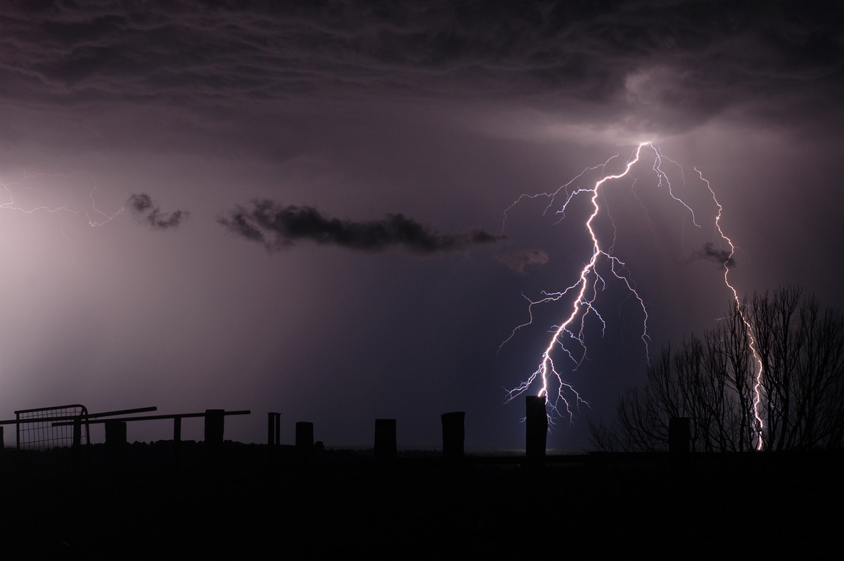 lightning lightning_bolts : Tregeagle, NSW   21 September 2008