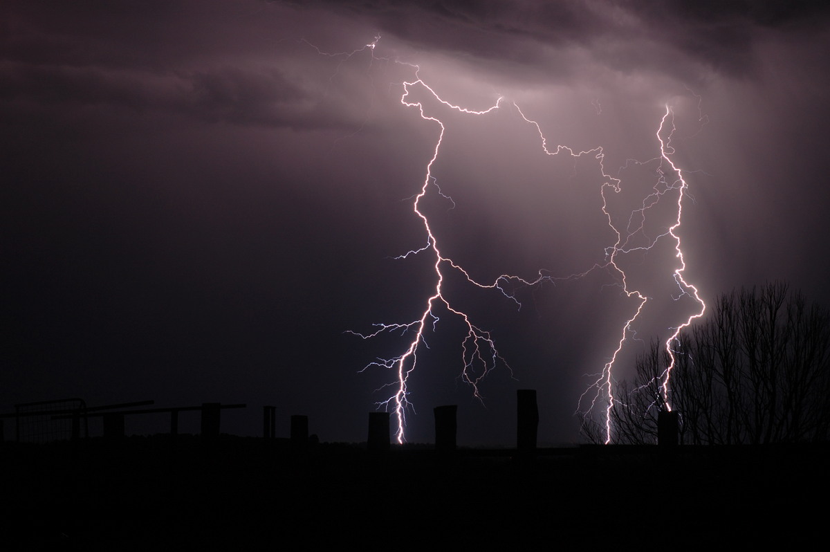 lightning lightning_bolts : Tregeagle, NSW   21 September 2008