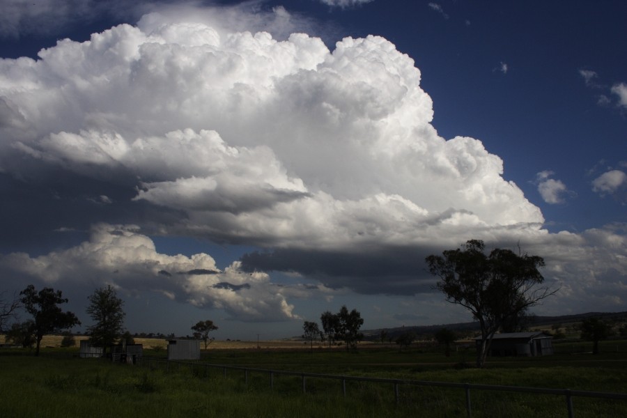 updraft thunderstorm_updrafts : between Scone and Merriwa, NSW   5 October 2008