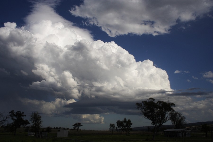 thunderstorm cumulonimbus_calvus : between Scone and Merriwa, NSW   5 October 2008