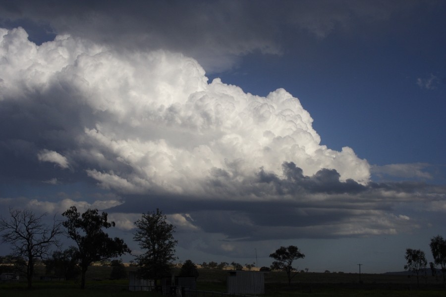 inflowband thunderstorm_inflow_band : between Scone and Merriwa, NSW   5 October 2008