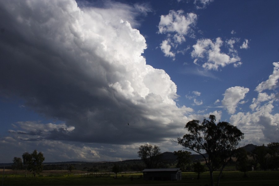 thunderstorm cumulonimbus_calvus : between Scone and Merriwa, NSW   5 October 2008