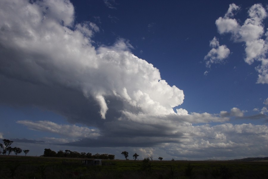 thunderstorm cumulonimbus_calvus : between Scone and Merriwa, NSW   5 October 2008