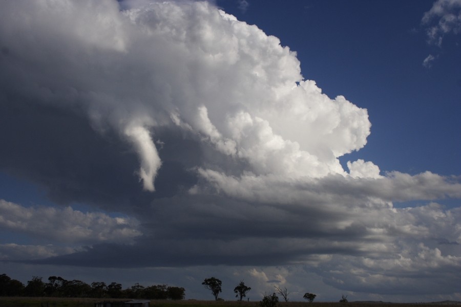 inflowband thunderstorm_inflow_band : between Scone and Merriwa, NSW   5 October 2008