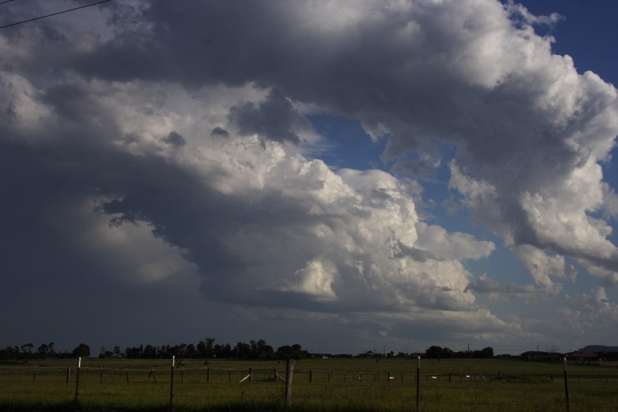 thunderstorm cumulonimbus_calvus : Scone, NSW   5 October 2008