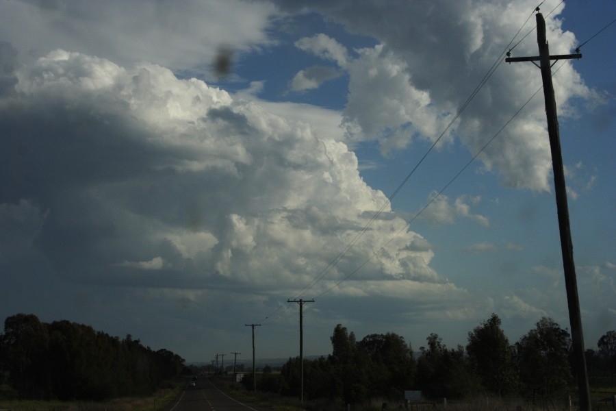 thunderstorm cumulonimbus_incus : Scone, NSW   5 October 2008