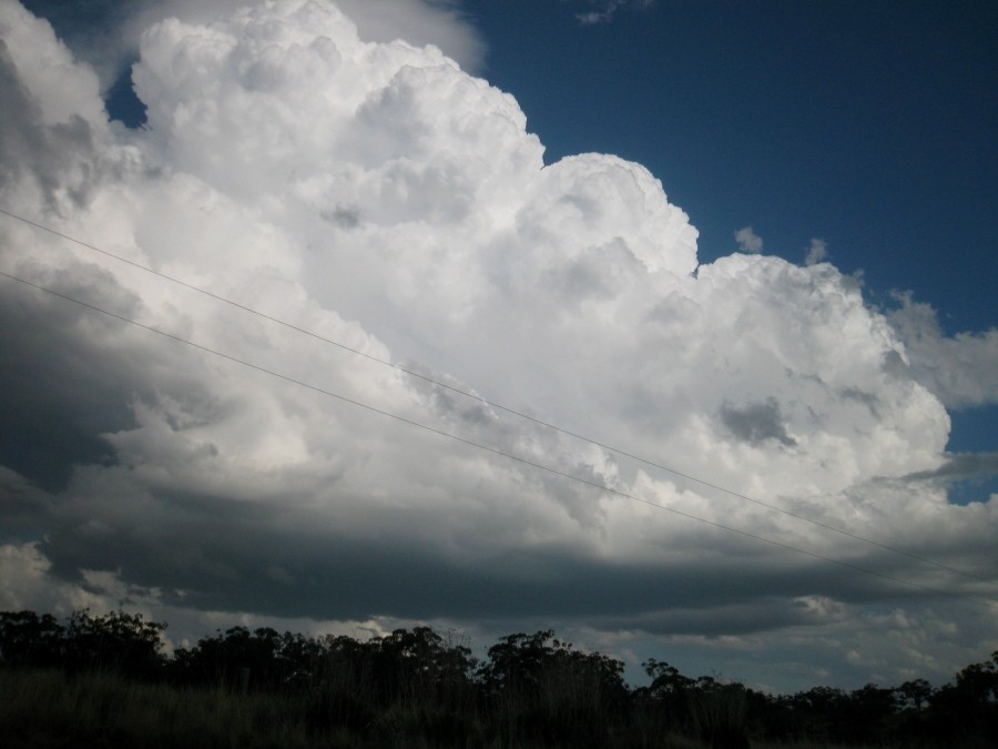 thunderstorm cumulonimbus_calvus : E of Merriwa, NSW   5 October 2008