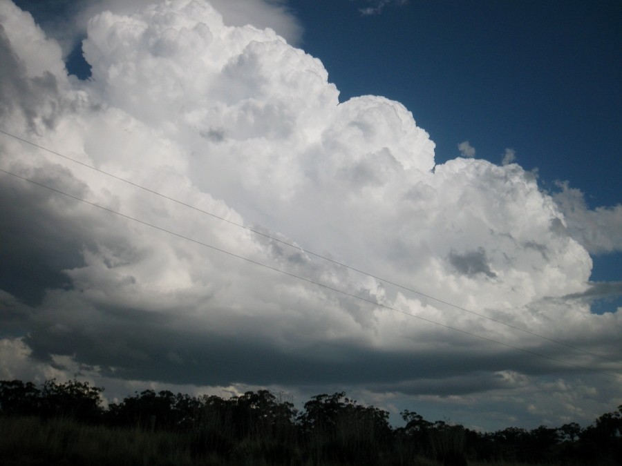 updraft thunderstorm_updrafts : E of Merriwa, NSW   5 October 2008