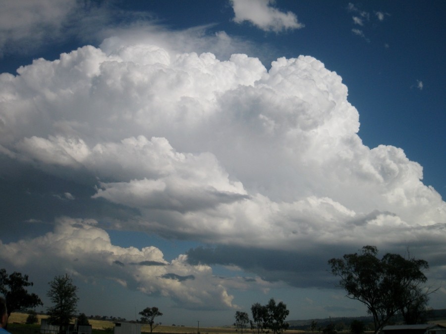 thunderstorm cumulonimbus_calvus : between Scone and Merriwa, NSW   5 October 2008