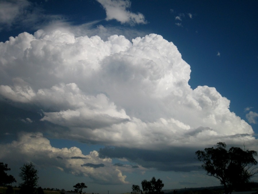 thunderstorm cumulonimbus_calvus : between Scone and Merriwa, NSW   5 October 2008